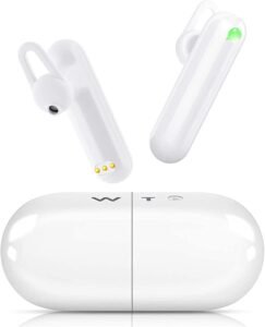 WT2 Language Translator